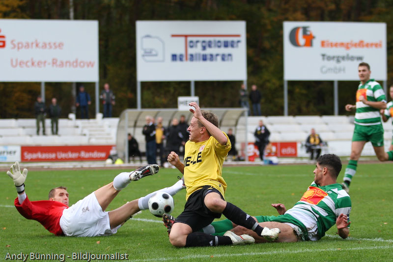 fuechse-12