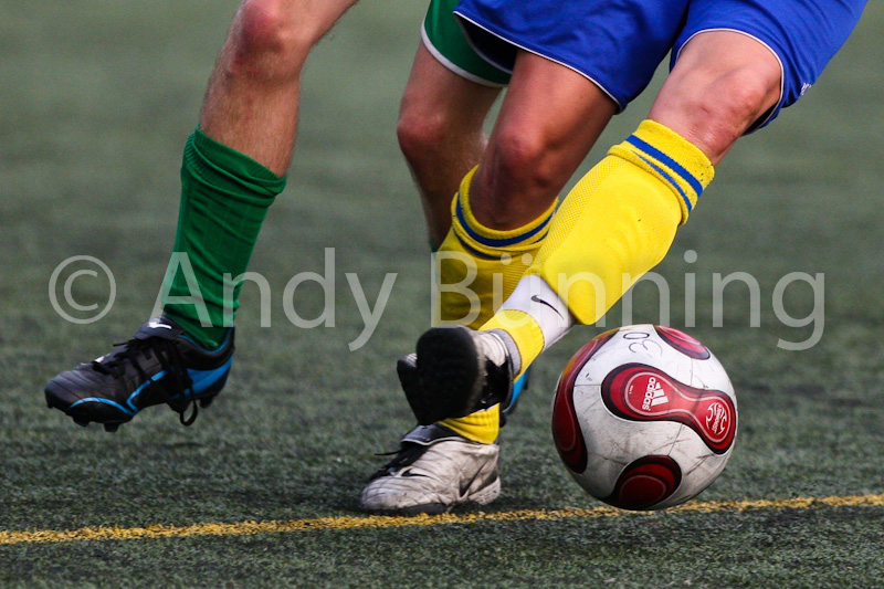 ab100806TorgForst232