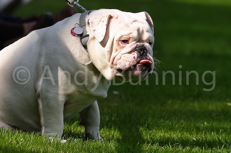 ab100911 Torg-Schwerin-739