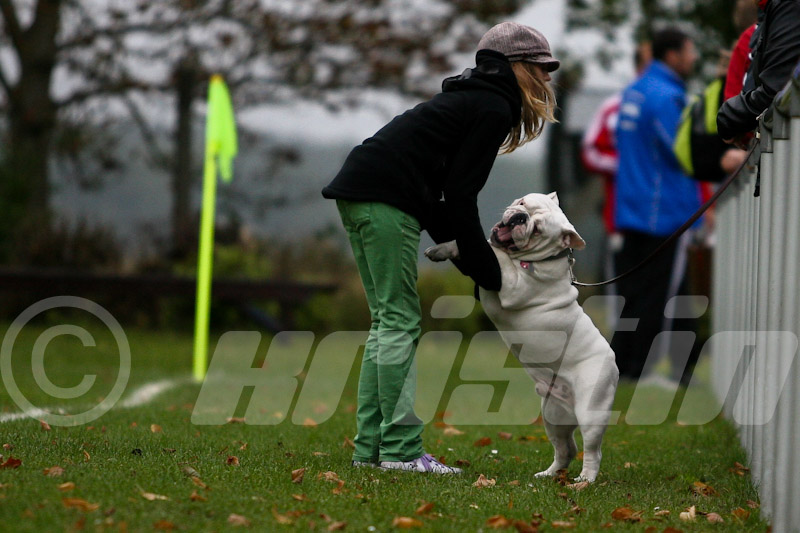 kt100925 Egg-Torg-143