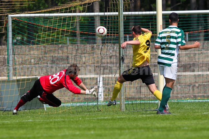 ab110521 TorgFuechse 0079