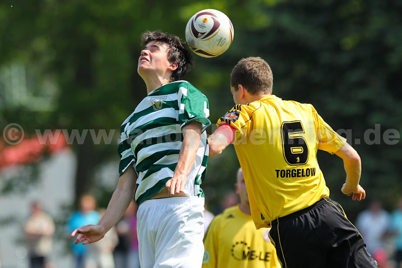 ab110521 TorgFuechse 0139