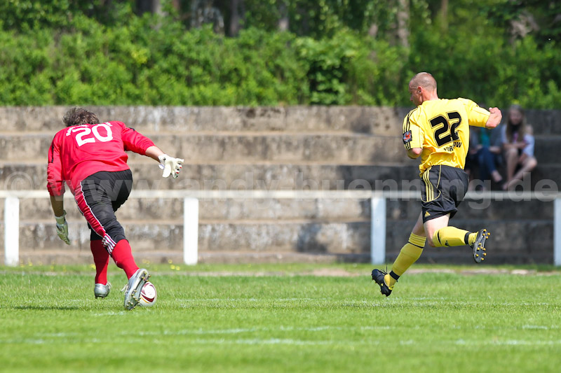 ab110521 TorgFuechse 0176