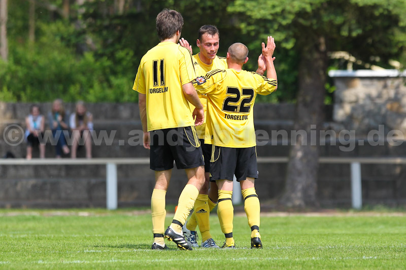 ab110521 TorgFuechse 0253