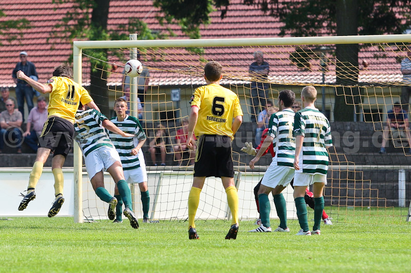 ab110521 TorgFuechse 0491