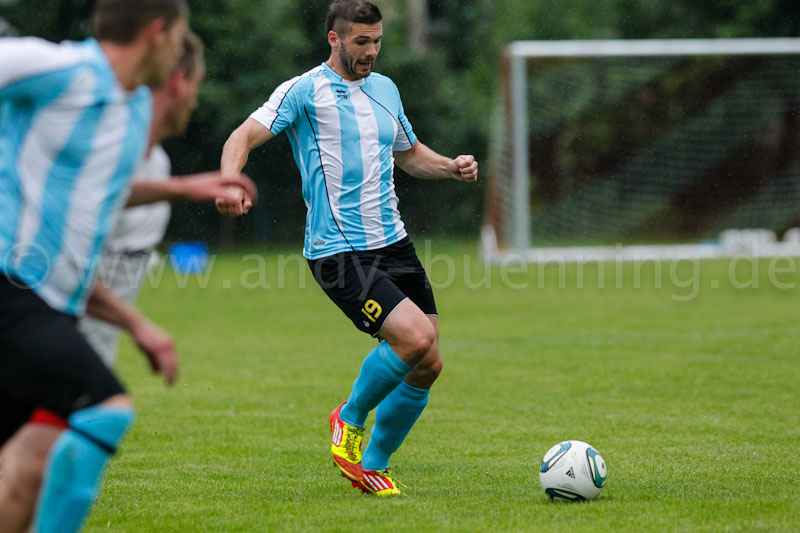 ab120713 zinntor 0116