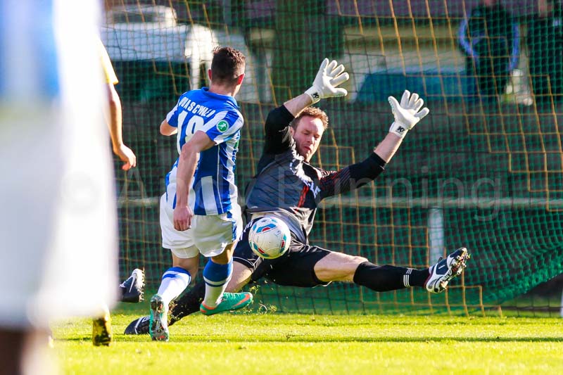 ab121013 torros 1618