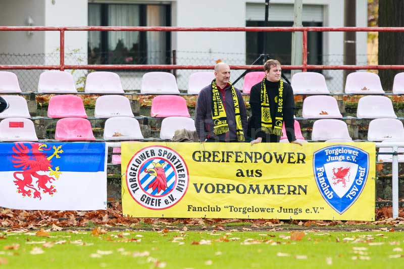 ab121110 cottor 0413