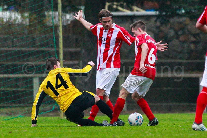 ab121118 torzwi 0766