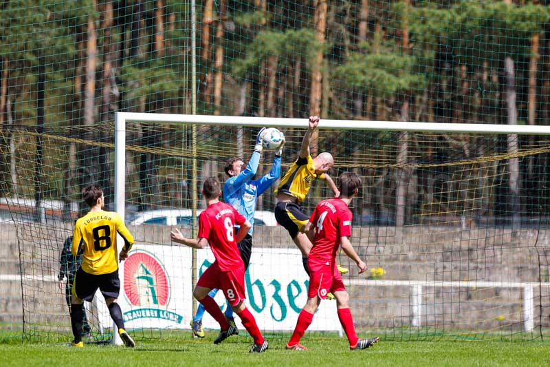 ab130428 torfce 0147