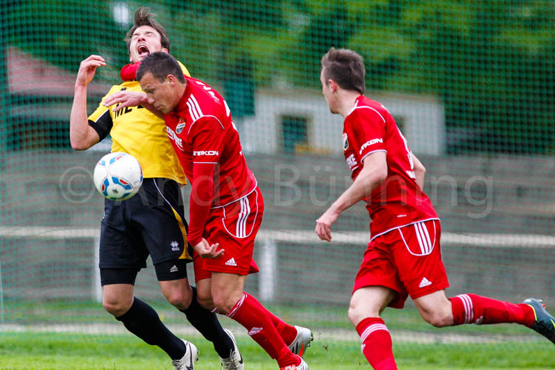 ab130514 torhalb 0106