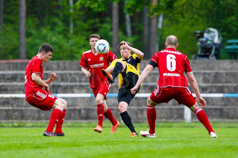 ab130514 torhalb 0278