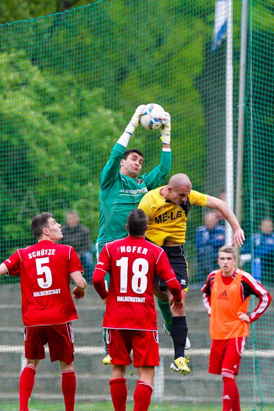 ab130514 torhalb 0565