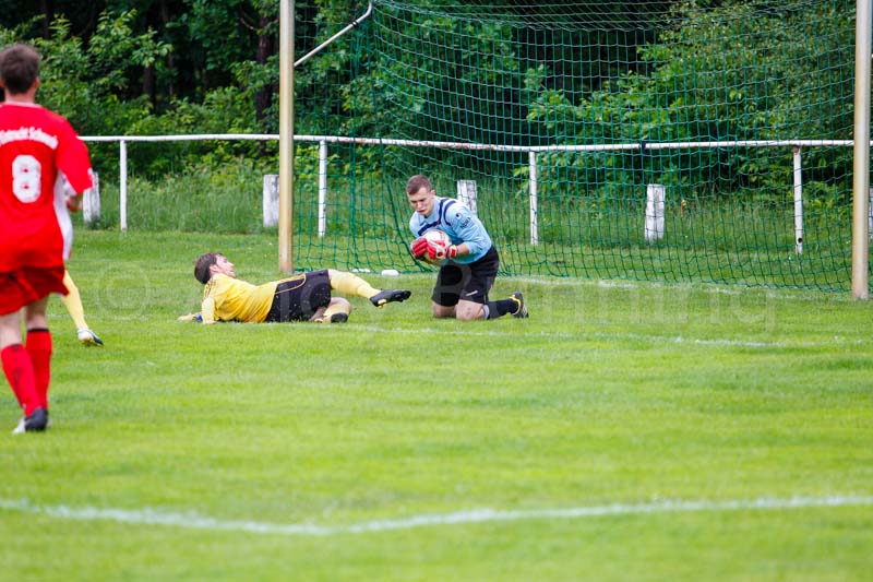 ab130602 torschwe 0377