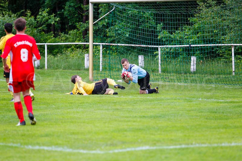 ab130602 torschwe 0378