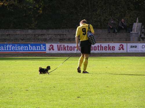 bild 37