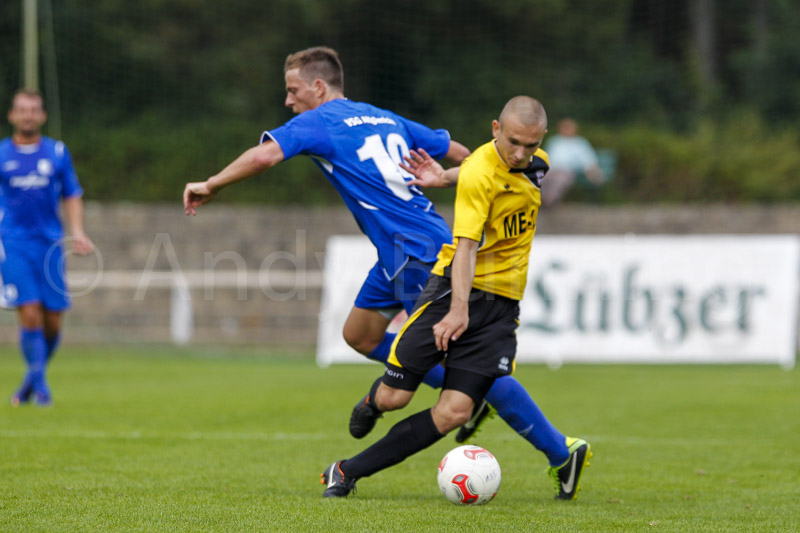 ab130831 toraltglie 0075