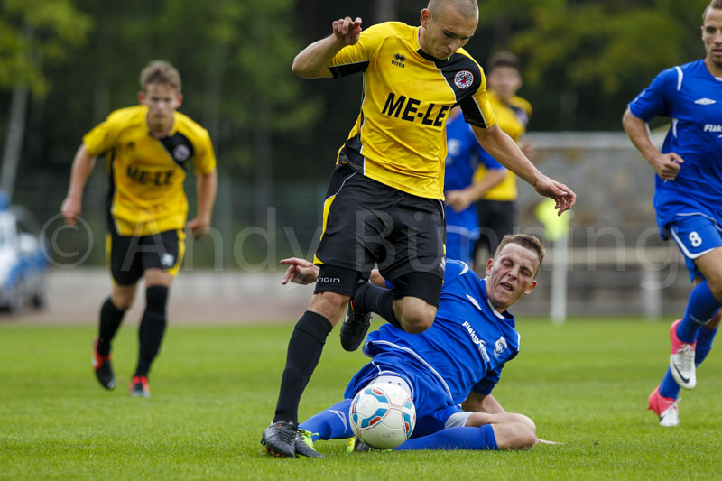 ab130831 toraltglie 0381