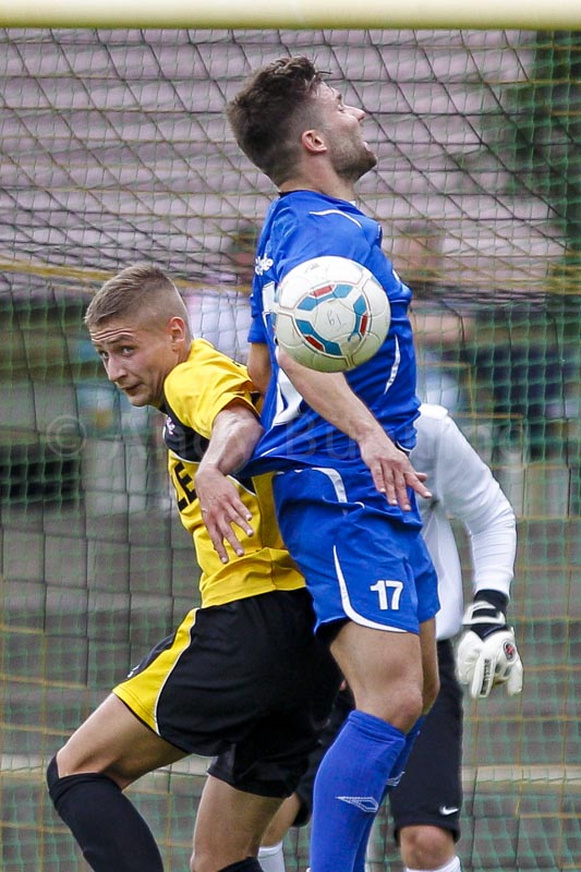 ab130831 toraltglie 0420