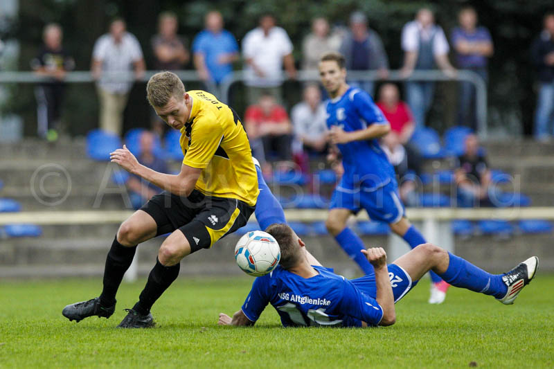 ab130831 toraltglie 0651