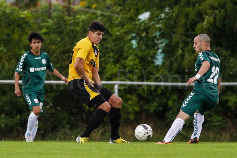 ab130915 fcstor 0202