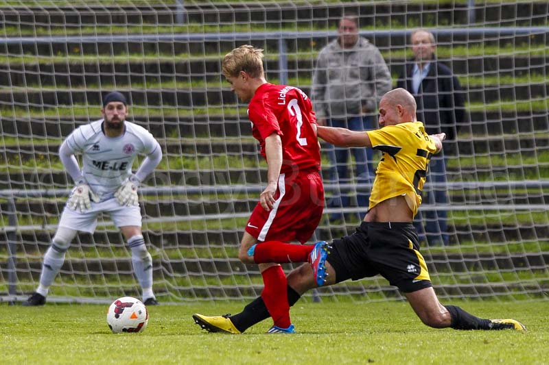 ab130928 Lichtenberg47-TorgelowerSVGreif  0469