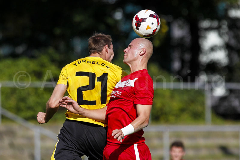 ab130928 Lichtenberg47-TorgelowerSVGreif  0766