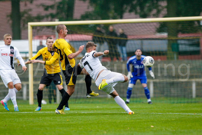 ab131005 TorgelowerSV-BFCDynamo  0310