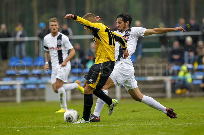 ab131005 TorgelowerSV-BFCDynamo  0330