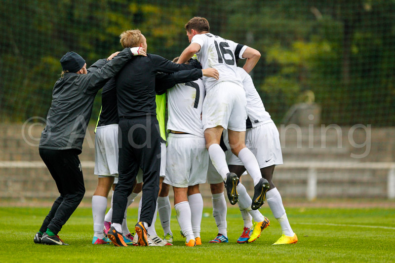 ab131005 TorgelowerSV-BFCDynamo  1031