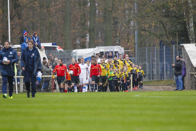 ab131116 torros 0030