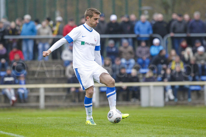 ab131116 torros 0225