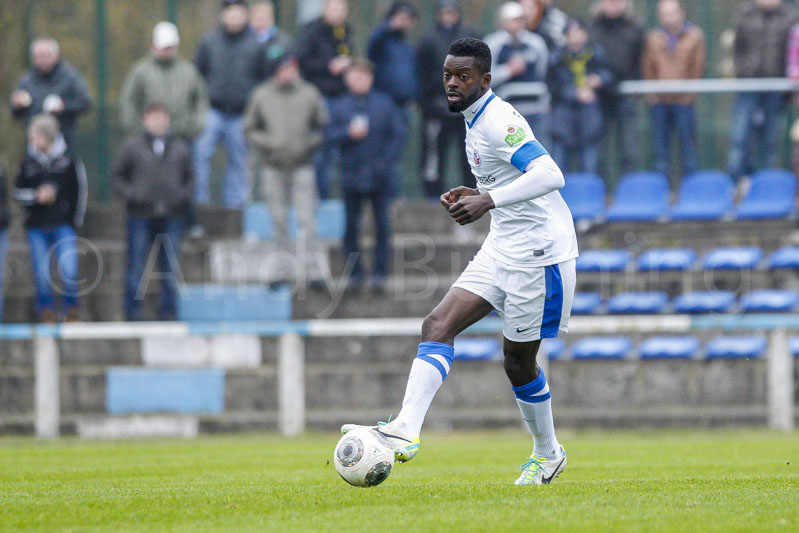 ab131116 torros 0378