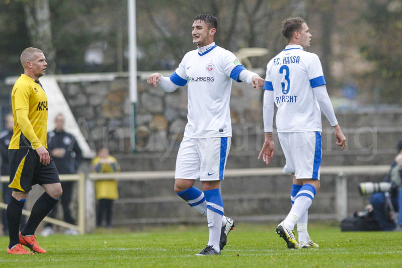 ab131116 torros 0421