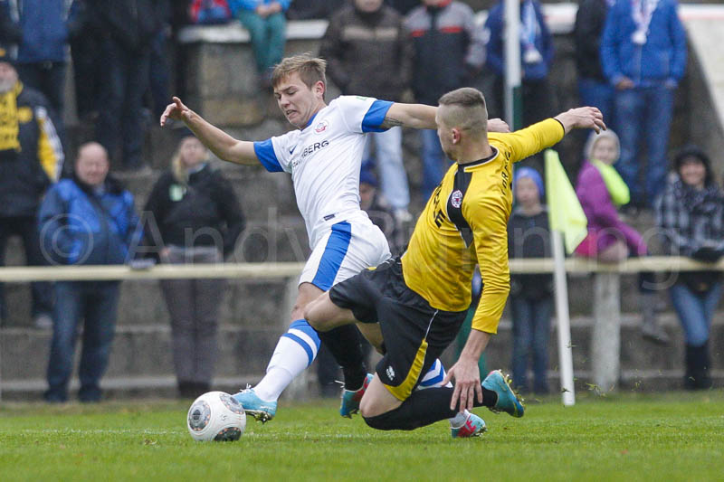 ab131116 torros 0634