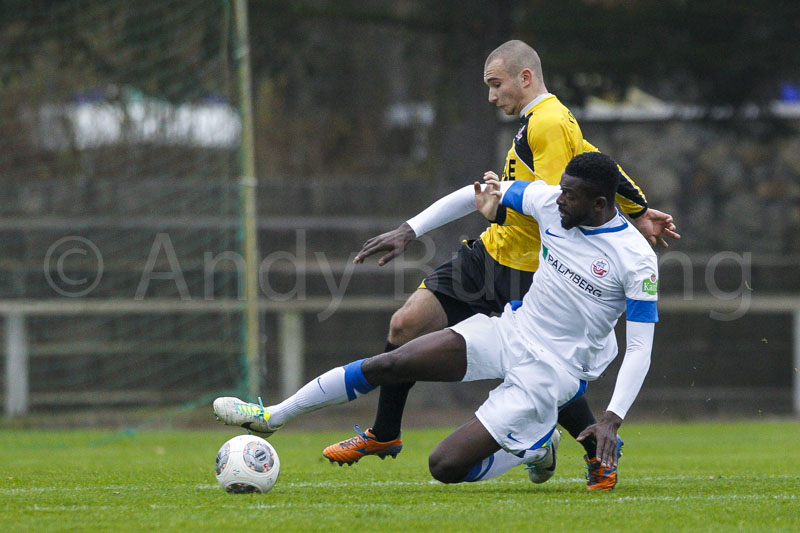 ab131116 torros 0672