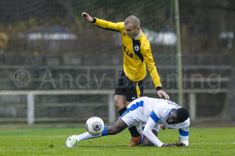 ab131116 torros 0674