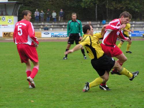 bild (3)