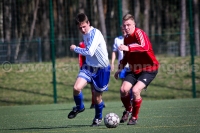 ab110410 TorEgg -664