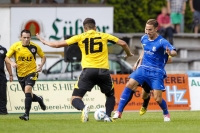 ab130831 toraltglie 0028