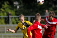 ab130928 Lichtenberg47-TorgelowerSVGreif  0704 ab130928 Lichtenberg47-TorgelowerSVGreif  0704