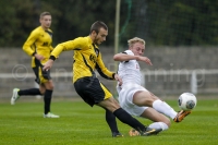 ab131005 TorgelowerSV-BFCDynamo 0212 ab131005 TorgelowerSV-BFCDynamo 0212