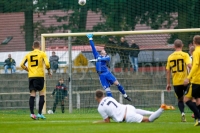 ab131005 TorgelowerSV-BFCDynamo  0315