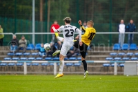 ab131005 TorgelowerSV-BFCDynamo  0902